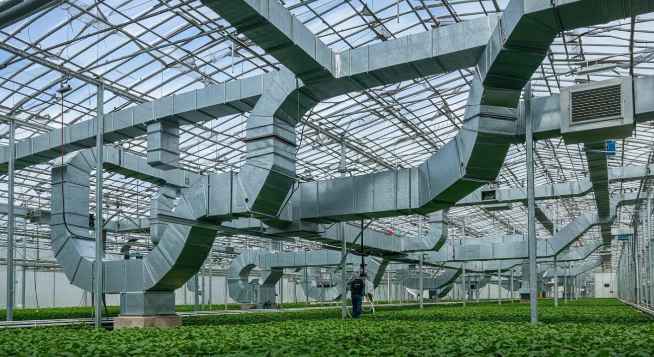 Как устроена вентиляция в теплицах